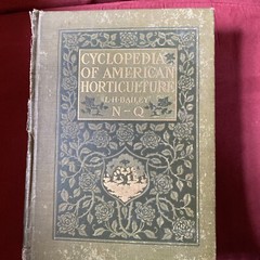 1904 Cyclopedia Of American Horticultural 700 Original Engravings Volume 3 N-Q