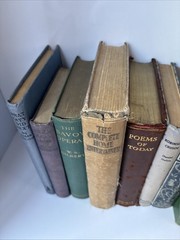 Collection of Old Books for Decoration 30cm shelf space Max Height 24cm