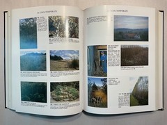 Permaculture A Designer’s Manual Bill Mollison 2009 HC Fine