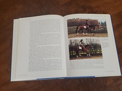 Solo Schooling – Horseriding by Wendy Jago / 2003, J.A. Allen