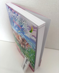 Uma Musume Pretty Derby Artworks Vol.4 Japanese Art Book 2026