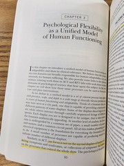 Acceptance and Commitment Therapy: The Process and Practice of Mindful Chang…
