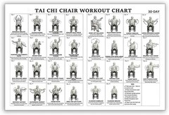 Tai Chi Chair Exercise Poster Seated Workout for Seniors & Beginners