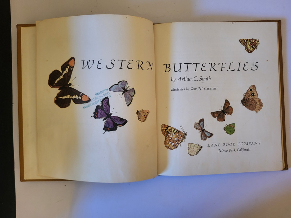 WESTERN BUTTERFLIES SUNSET JUNIOR BOOK Arthur Smith 1961 HC Children’s Nature bk