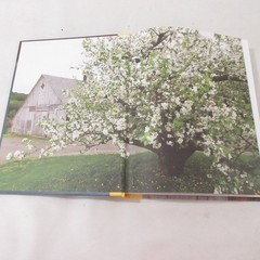 Apples of Uncommon Character Rowan Jacobsen 2014 Illustrated Cookbook Bloomsbury