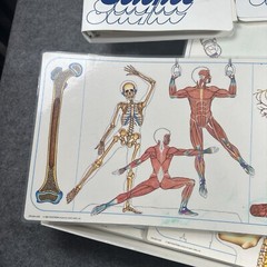 Nystrom Science Body Systems Skeletal Muscular Curriculum Homeschool Vintage