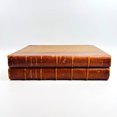 Histoire de France Illustrée Larousse Complete in 2 Quarter Leather Volumes