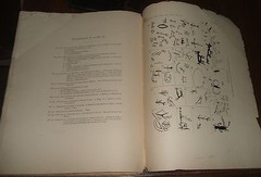 1902 The Thompson Indians of British Columbia Illustrated James Teit, Franz Boas