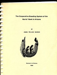 1988 Thesis, U Arizona – Breeding of Harris Hawk in Arizona – Wildlife, DAWSON