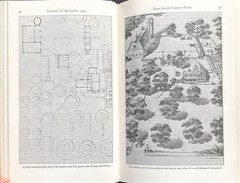 1949 VINTAGE USDA Yearbook of Agriculture “TREES” – 944 Pages Illustrated HC