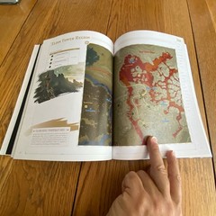 The Legend of Zelda: Breath of the Wild Complete Official Guide Paperback