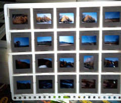 1000 Vintage Slides Nature Flower Mtns Trees Lakes 2 x 2 In 50 Holders 1960-1970