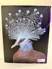 BIRDS by Tim Flach Hardcover Hardback Coffee Cocktail Table ART Photo Book