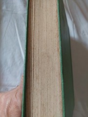That Aggravating Schoolgirl, Grace Stebbing. Hb 1913. Jun