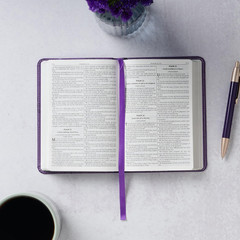 KJV Holy Bible, Compact Faux Leather Red Letter Edition – Ribbon Marker, King