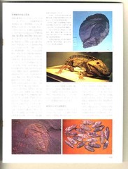 [e2884] 1972 Great World Encyclopedia Split Pages (P953P980 / Gazelles, Menhaden
