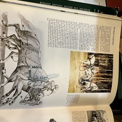 The Noble Horse by Monique and Hans Dossenbach (HCDJ, 1983) Dust Jacket Damaged