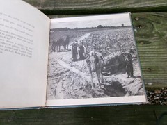 2 Children’s Book Pub. by Oxford University Press, FLOP-EARED HOUND/Real Photos