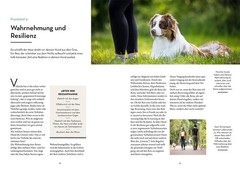 Vanessa Engelst Resilienz bei Hunden: Hunde im Inneren s (Paperback) (UK IMPORT)
