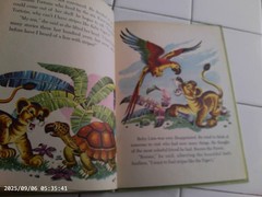 The Busy Baby Lion, A Wonder Book,1959(VINTAGE Children’s)