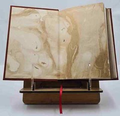 The 48 Laws of Power by Greene, Robert & Elffers, Joost [PREMIUM LEATHER BOUND]