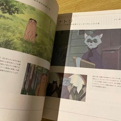 Studio Ghibli Cats Art Book Hayao Miyazaki Collectible Import form Japan
