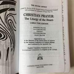 Christian Prayer Liturgy of the Hours Large Type Edition Flexible Faux Leather