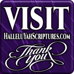 HalleluYah Scriptures Witnesses of The Twelve Ancestors 12 Tribes FREE SHIPPING