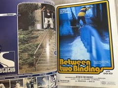 Transworld Skateboarding Magazine Volume 17 #12 December 1999 Australia OZ Fest