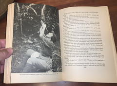 Osa & Martin Johnson I Married Adventure First Edition 1940 Zebra Cover