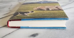 *Signed & Inscribed* NOP’S HOPE Donald McCaig HC/DJ 1994 1st Edition & Printing
