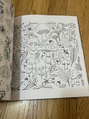 Forestcore Coloring Book 128 Pages Forest to Life Deer Mushrooms Butterflies Art