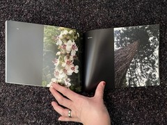 Nature Photography – Beautiful Things by Molly Bingham (50 Pages, Color)