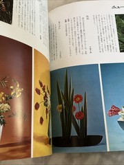 Flower materials and ikebana (Shinchosha) Paperback