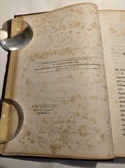 1850 First Edition Lily and the Totem Simms Huguenots Florida Original Cloth