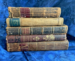 Tiny Antique Books; Miscellany, Plant World, Spectator, Columbian Orator #B46