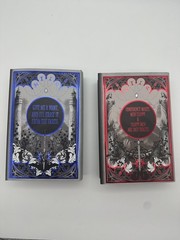 Dire Bound and Fury Bound Sable Sorensen Bewitched Pages Signed New