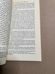 The Ego and the ID Sigmund Freud 1962 Norton Library Pb Edition VTG Paperback