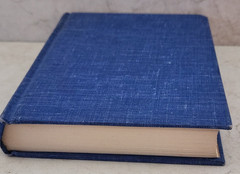Great Spanish Stories by Angel Flores (editor) – Modern Library