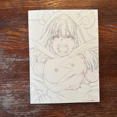 AKb0048 Anime Manga Art Book 2012 Japanese Paperback VG