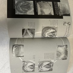 Making Natural Hoof Care Work for You Pete Ramey Book
