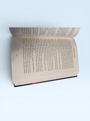 The Descendant Hardcover Linda Stasi