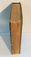 The Lightning Conductor, Adventures of a Motor-Car by C. N. & A. M. Williamson