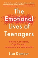 The Emotional Lives of Teenagers – Paperback – VERY GOOD