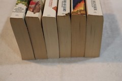 lot of 10 Children of The Lion books Peter Danielson paperback hardcover 1-10