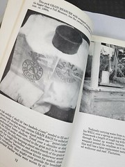 PRIMITIVES our American Heritage by Kathryn McNerney 190 pages