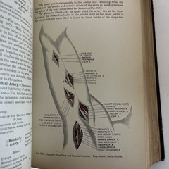 Antique Manual Of Operative Surgery by Joseph D. Bryant M.D. Vintage 1900 3rd Ed