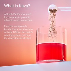 FOCL Kava Spritz Drink Mix – Alcohol-Free Refreshing 2.75 Ounce (Pack of 1)