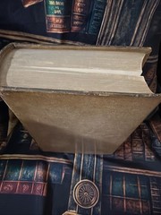 System of Surgery, 5th ed, Vol II, 1872, Gross HC Leather hundreds of engravings