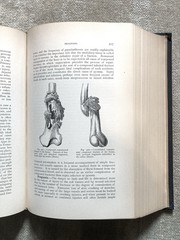 Practical Surgery For The General Practitioner, Senn, 1901, Illustrated, Good+